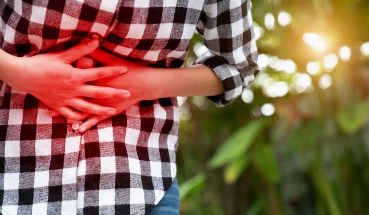 Causes Of Leaky Gut Syndrome