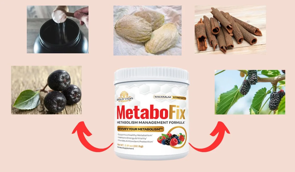 MetaboFix Ingredients