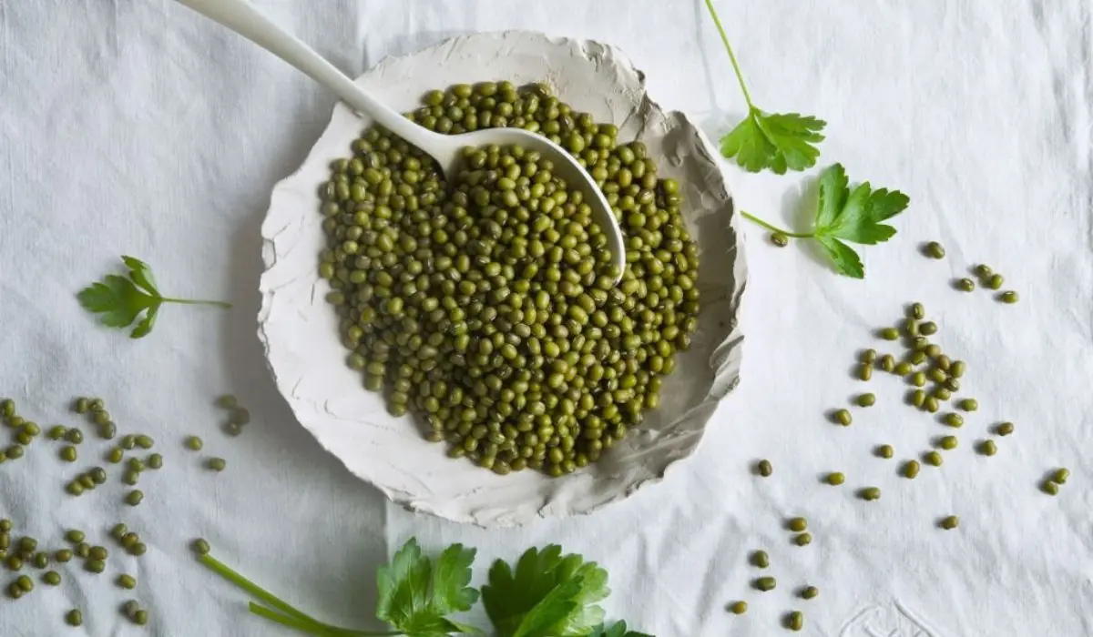Mung Beans Nutrition Facts And Health Benefits