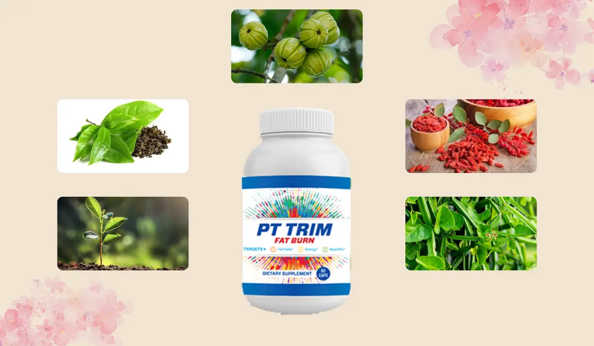 PT Trim Fat Burn ingredients