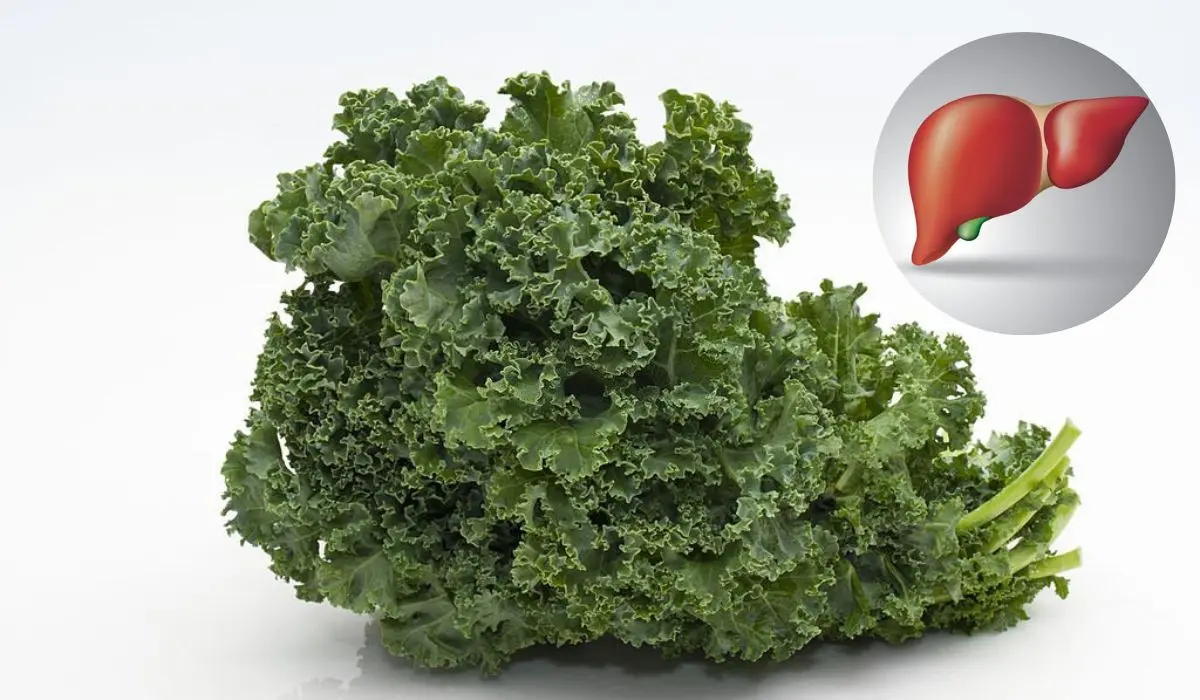 Is Kale Good for Liver Health