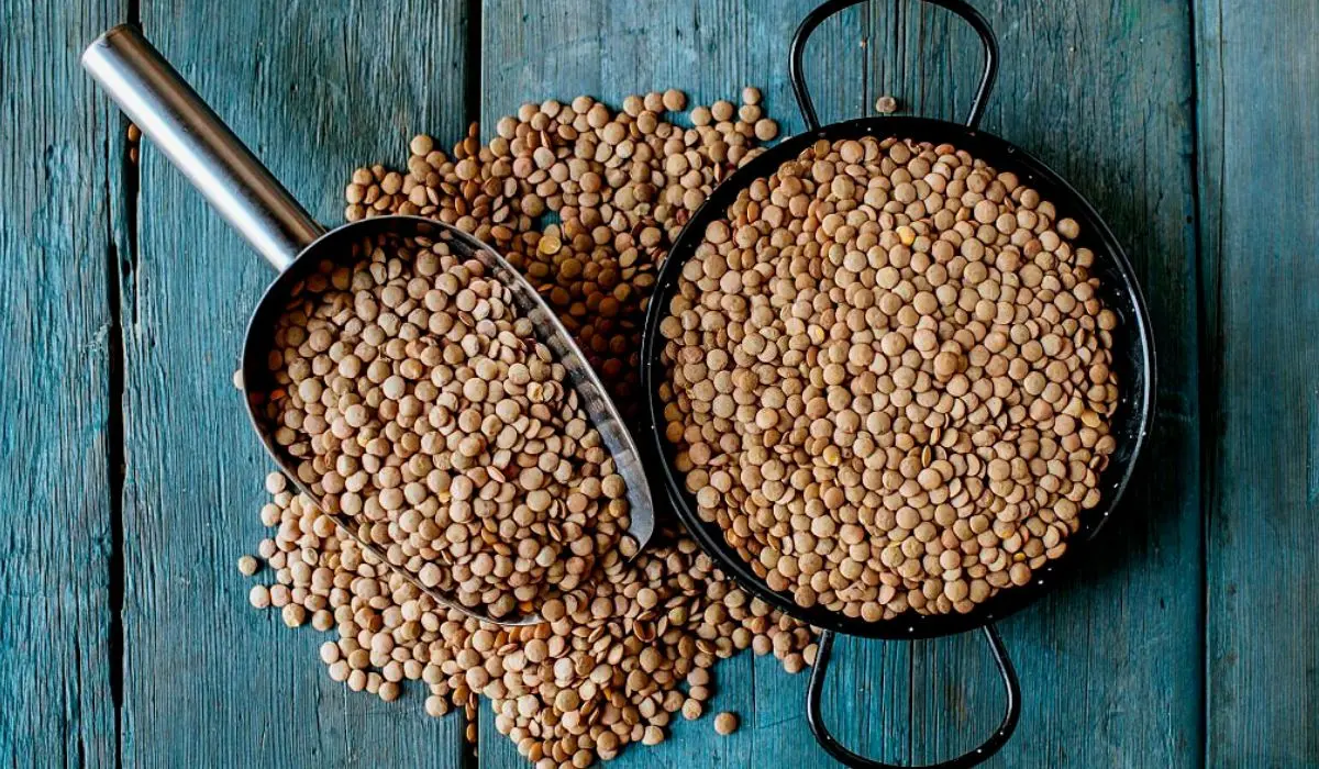 Lentils May Produce Gas For Some People